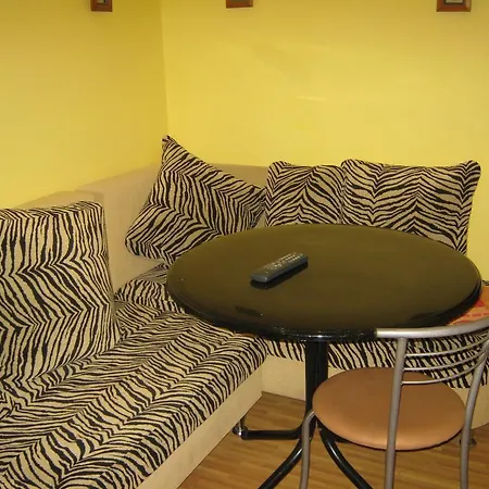 Flat In The Center Apartment *